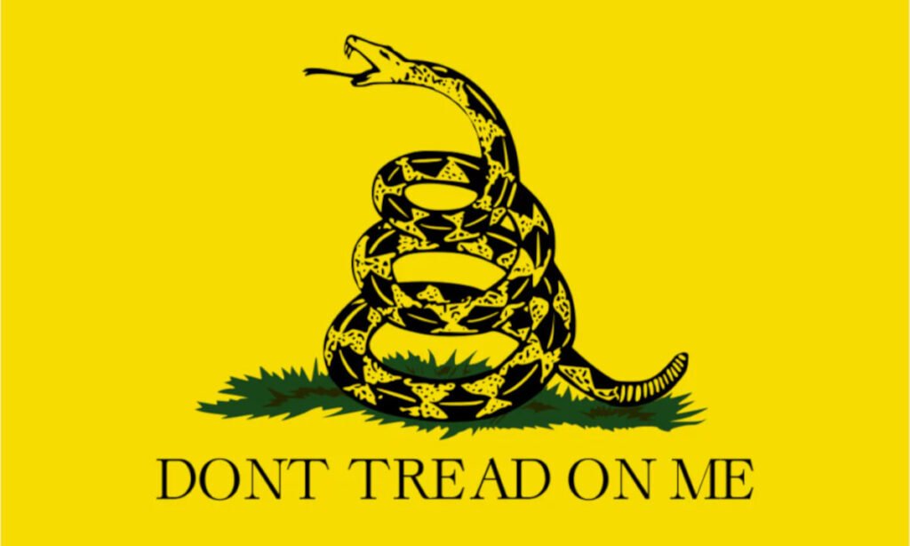 Bandeira de Gadsden